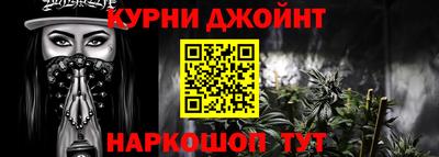 дживик Моздок