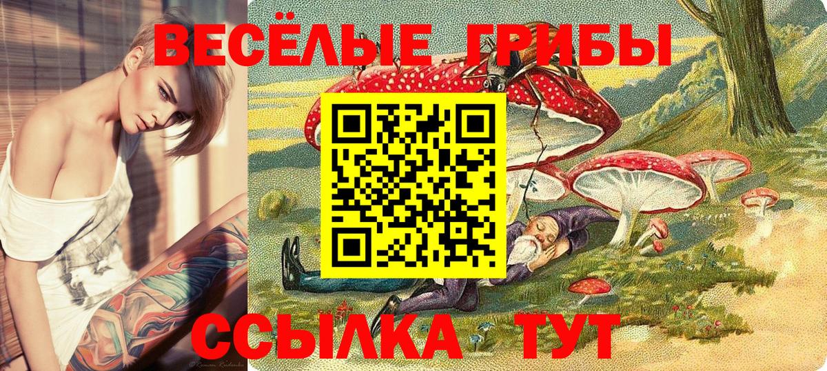 Галлюциногенные грибы GOLDEN TEACHER Стрежевой